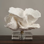 Nordwood White Reef Sculpture