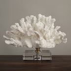 Nordwood White Reef Sculpture
